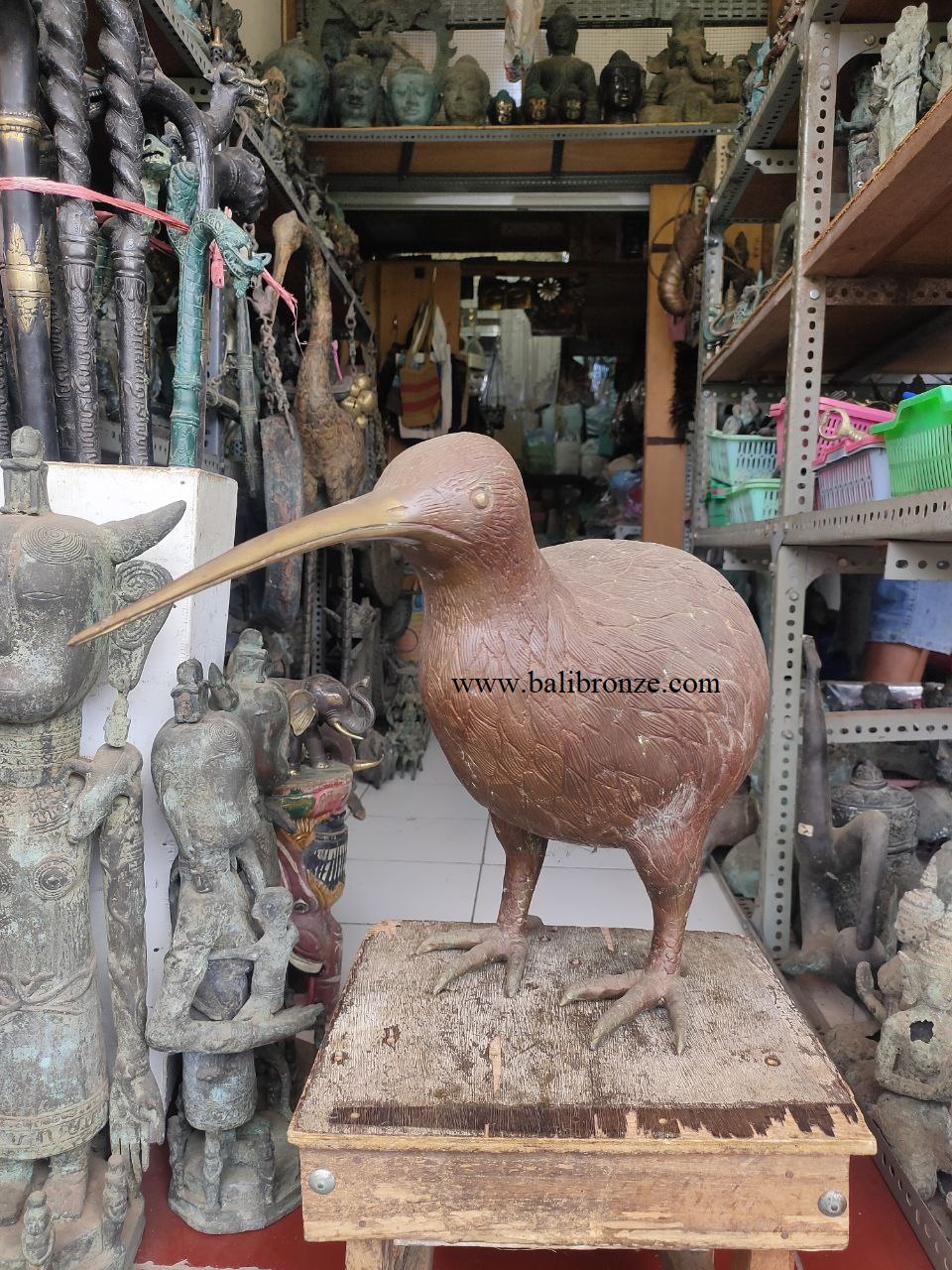 1002 Kiwi Bird  50cm  LSMS