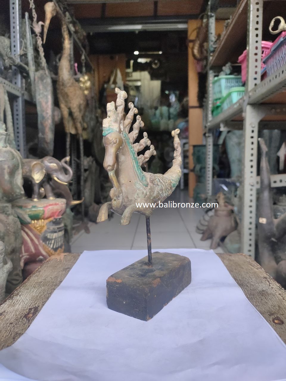 1008 Seahorses / Kuda Laut stick 25cm TGS