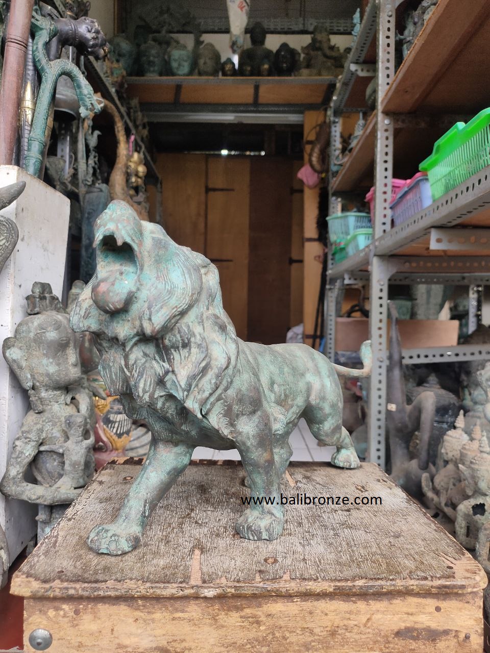 1166 Roaring Lion 50 cm NTR