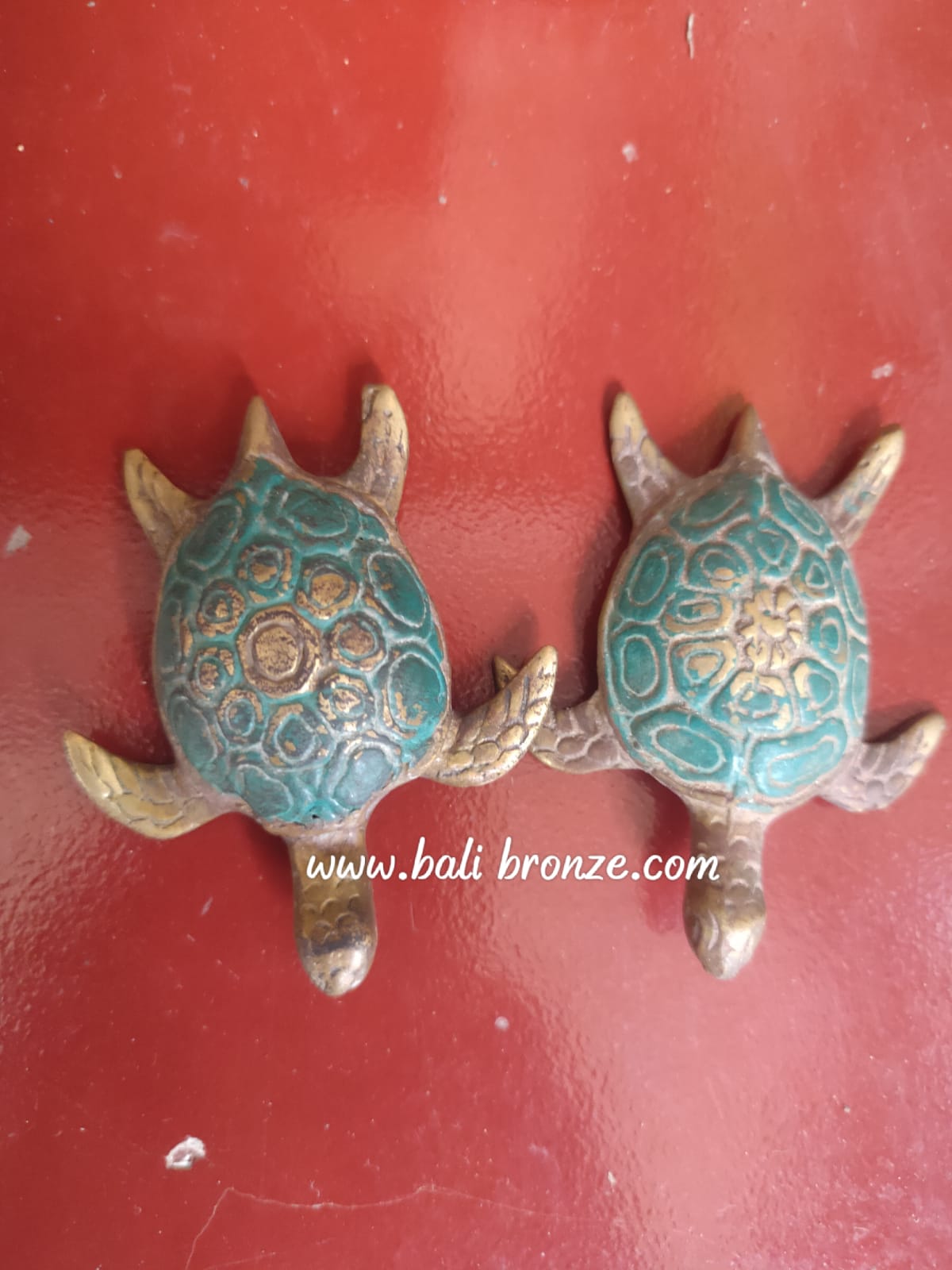 1212 Turtle 6 cm GS