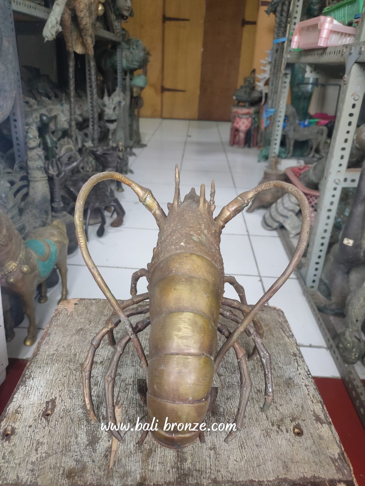 1190 Lobster  cm MNP